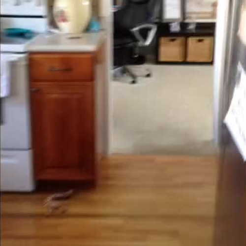 DAY IN THE LIFE OF ME