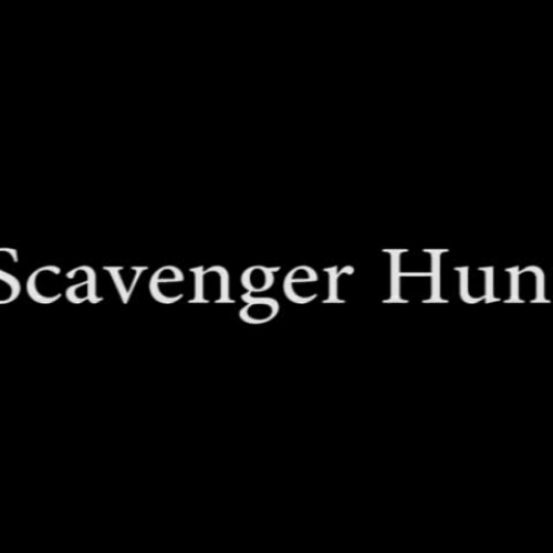 Scavenger Hunt