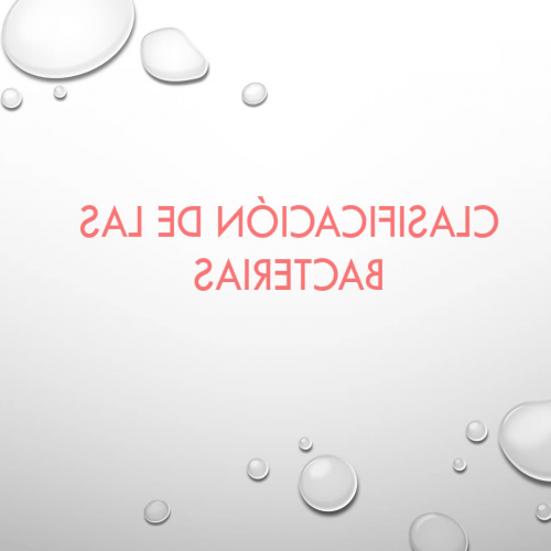 Clasificación de las bacterias