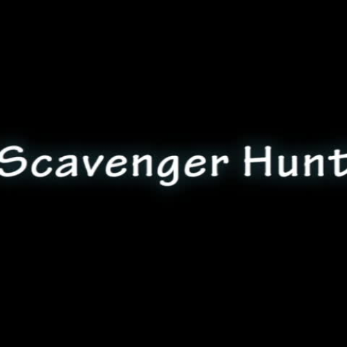 SCAVENGER HUNT!!!!!!!!!!!!