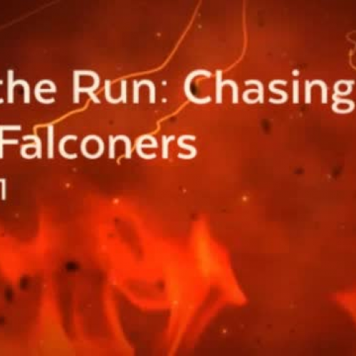 On the Run: Chasing the Falconers Book Trailer