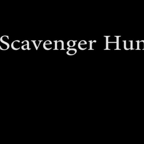 Scanvenger Hunt Liam McKay