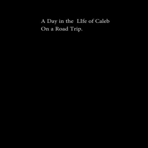 A day in the life of...