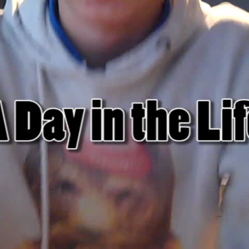 A day in the life