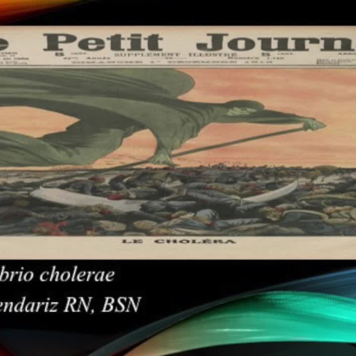 Assignment 5: Armendariz