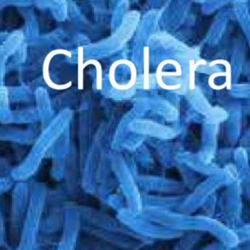 Cholera Public Service Announcement