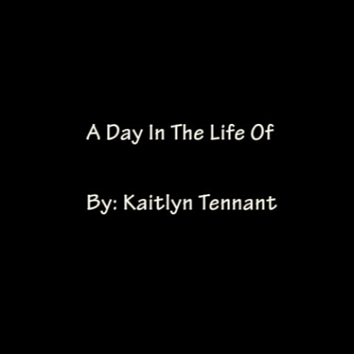 Day In The Life Of Me