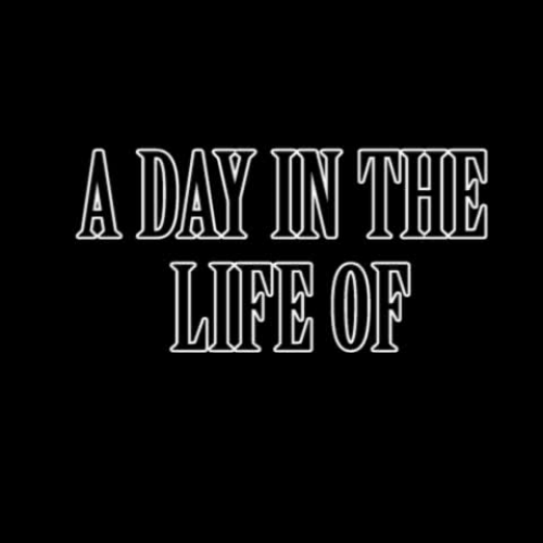 A day in the life of