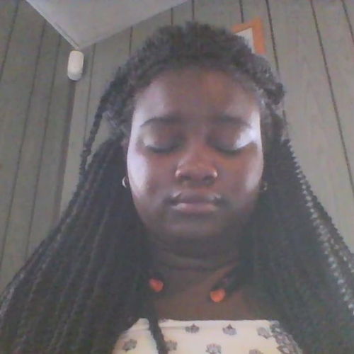 Spanish FLVS Modue 3 lesson 3