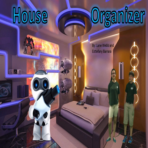 Room organizer 