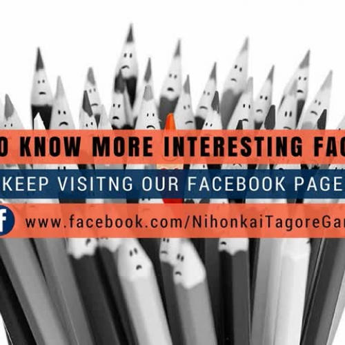 Do you Know these interesting facts about Japanese Language