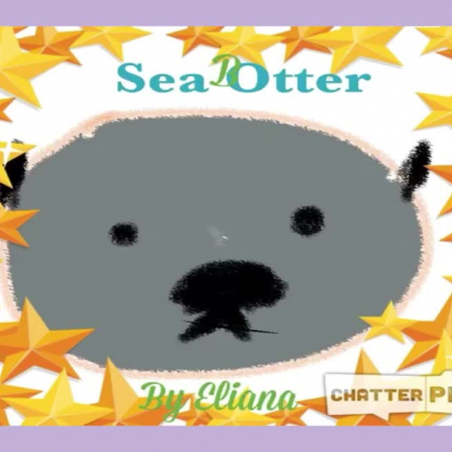 Animal Research: Sea Otters