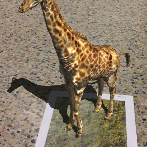 Riddle D  Ashlynn Alexia