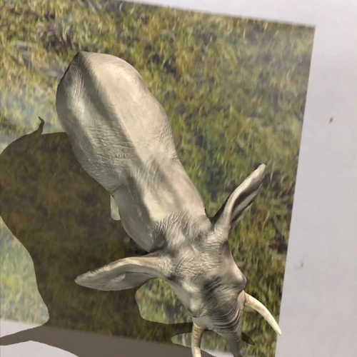 Riddle Ashlynn Kai A