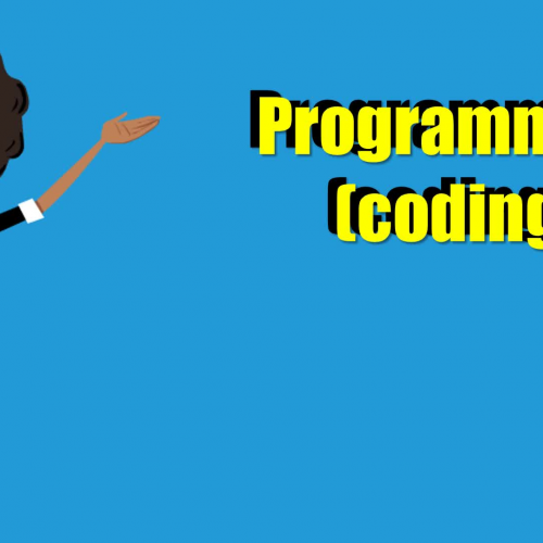 Programming / Coding