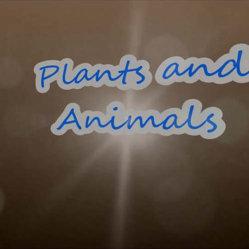 Plants and Animals Project