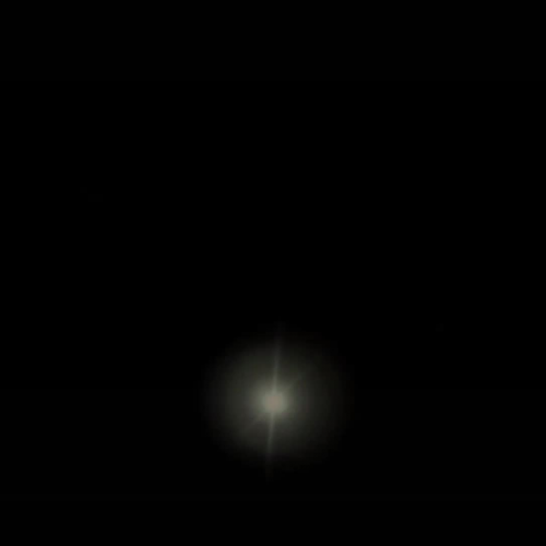 Plant and Animals Move Project