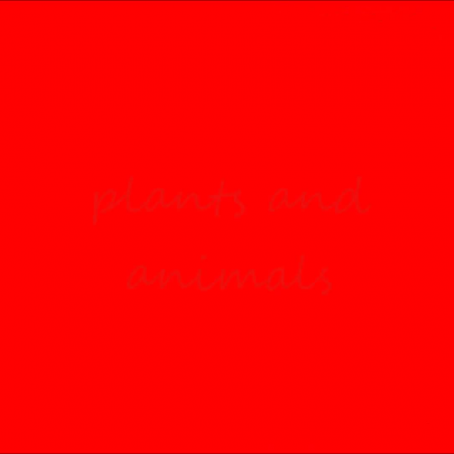 Plant and Animals Movie Project