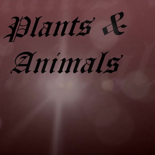 Plants and Animals Movie Project