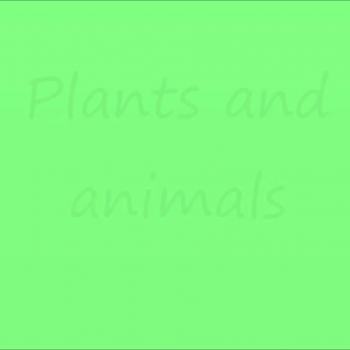 Plants and Animals Movie Project