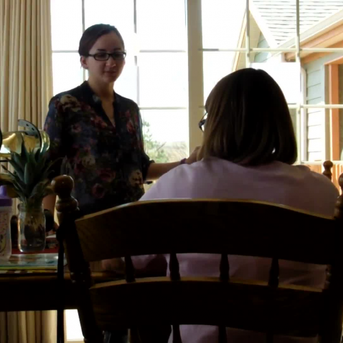 SIOP Lesson 3-Characterization