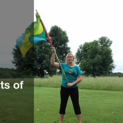 27 Points of Light - How to color guard 