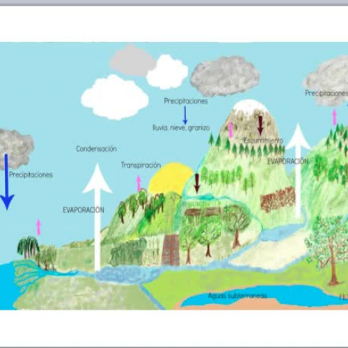 El ciclo del agua