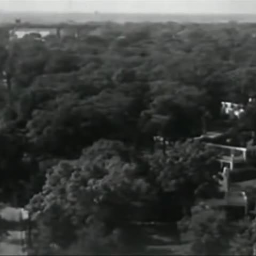 A Day in the Life of a 1950's Small Town