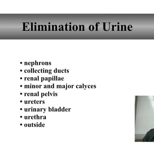 Elimination of urine