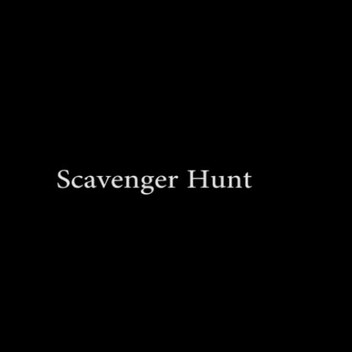 Scavenger Hunt