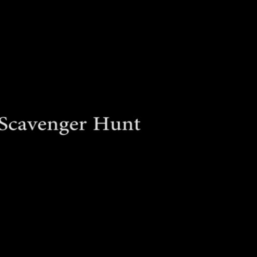 scavenger hunt