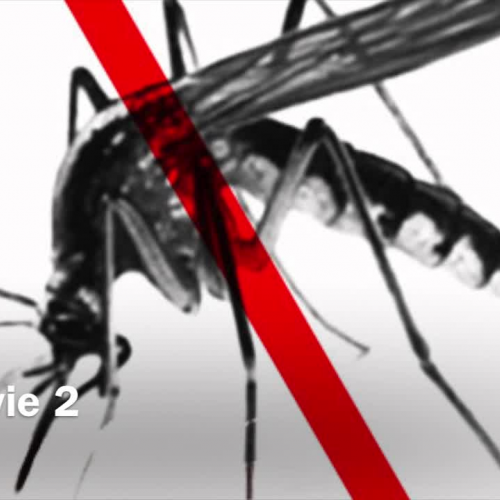 Malaria Public Health Announcement/HLT-555/Environmental Health