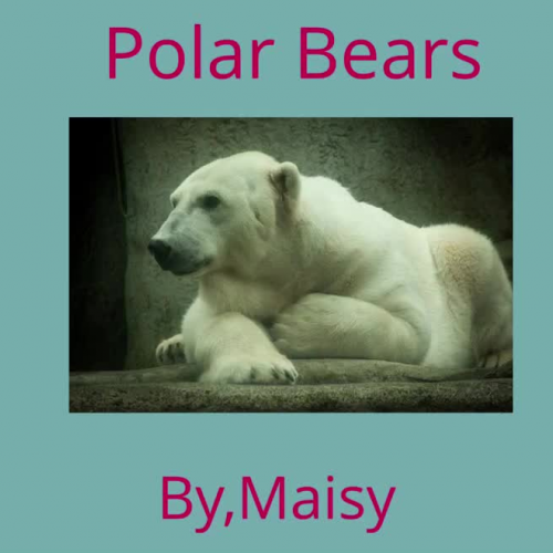 Polar Bears Investigation