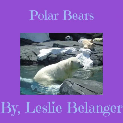 Polar Bears