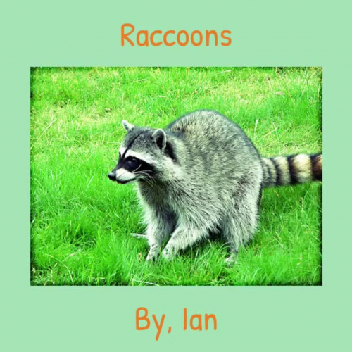 Raccoons