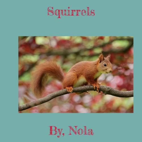 Squirrels