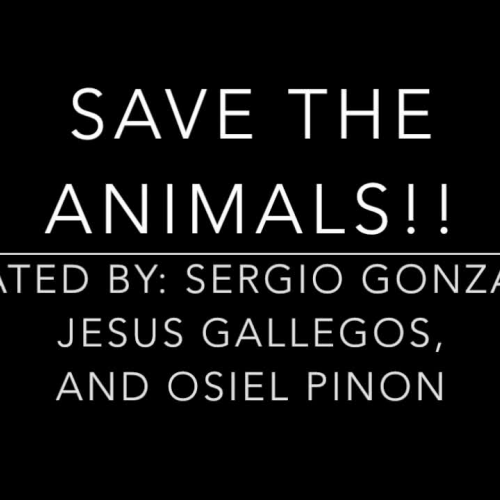 Save the Animals