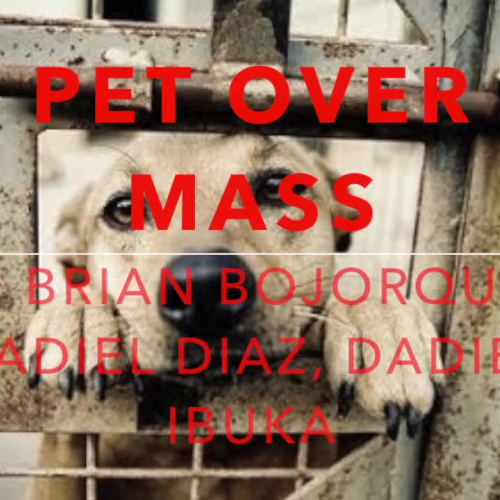 Pet Over Mass