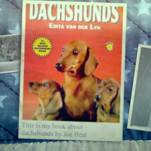 "Dachshunds" Book Trailer
