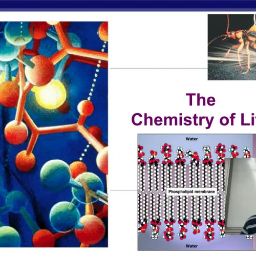 The Chemistry of Life