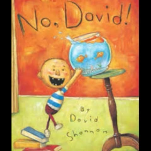 No, David! Book Trailer