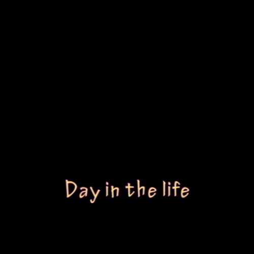 Day in the life