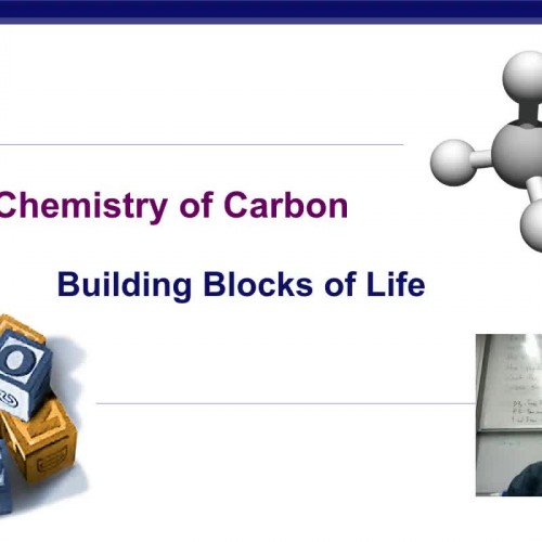 Introduction to Carbon Compounds