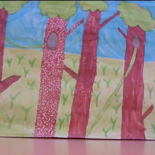 A series of adventures