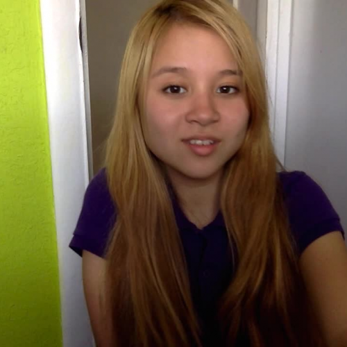 FLVS    -03.02 Describe the Family : Visual Presentation-