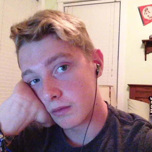 3.02 Describing the Family Visual Presentation 