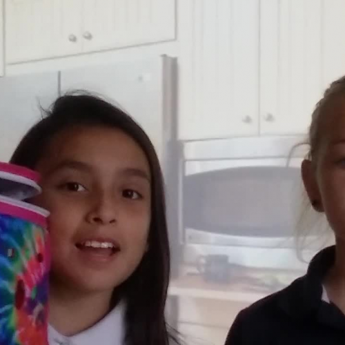 Hot and Cold Lunch Box