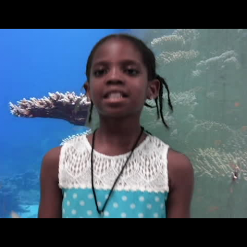 Singing about My Sea Turtles