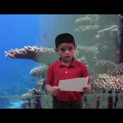 Santiago's News Report