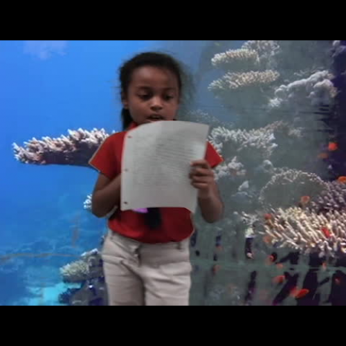 Princess' breaking news